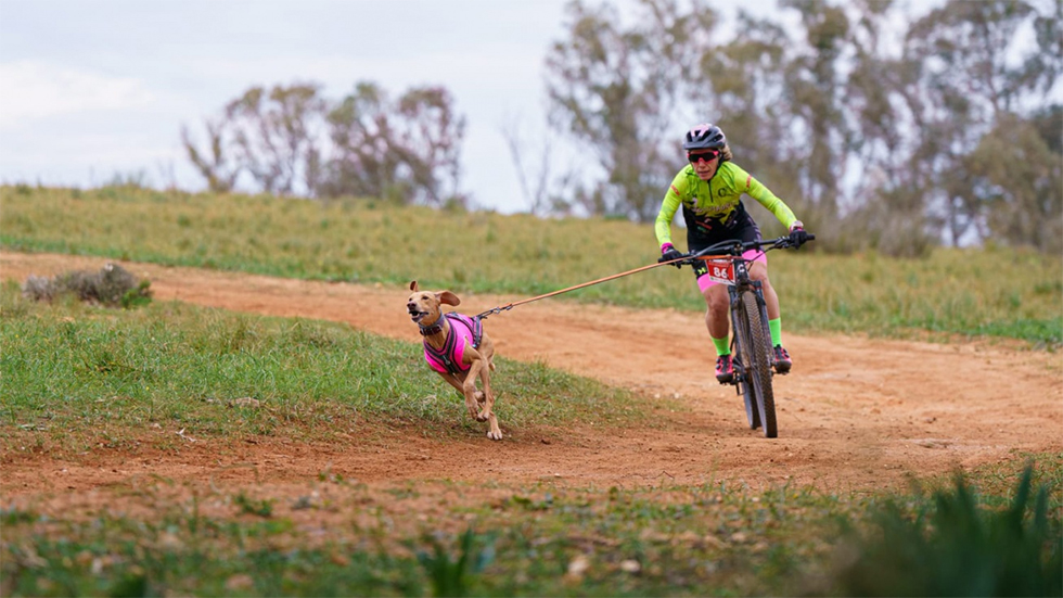 San Martín de la Vega acogerá la Copa de Madrid de Mushing Tierra