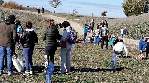 Plantación colectiva del año pasado|Ayuntamiento de Pinto