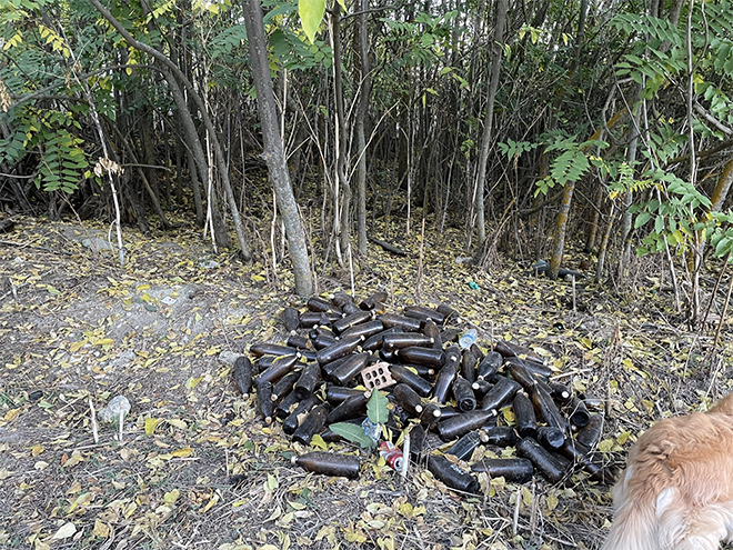 Imagen del más de medio centenar de botellas acumuladas en una parcela. | Foto: @Inés0469