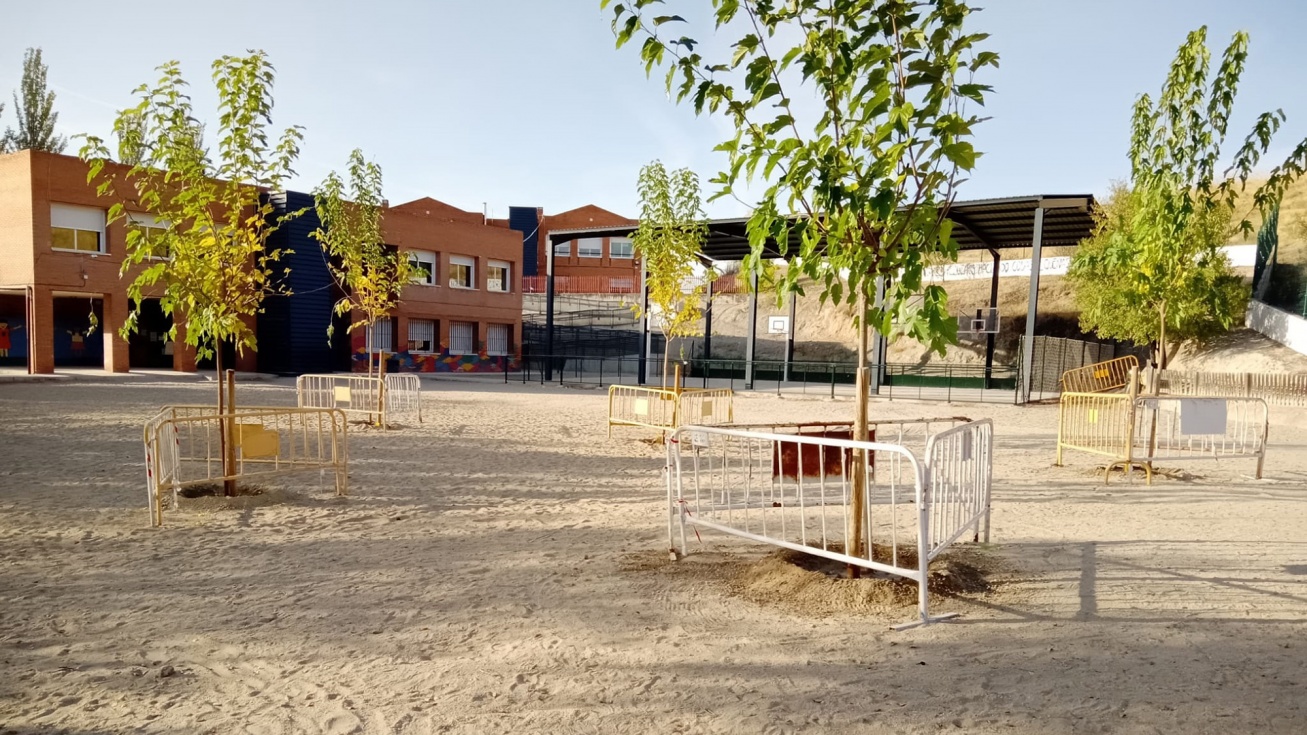 Nuevos árboles en el CEIP Los Cerros Chicos.