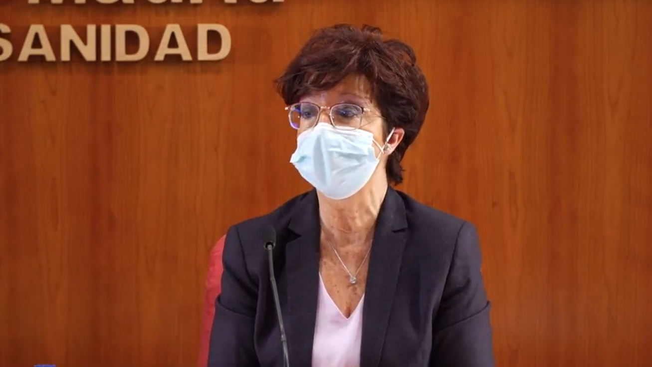 Elena Andradas, directora general de Salud Pública, durante la rueda de prensa de ayer.