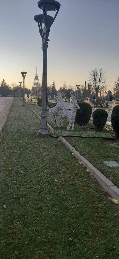Actos vandálicos del parque municipal.