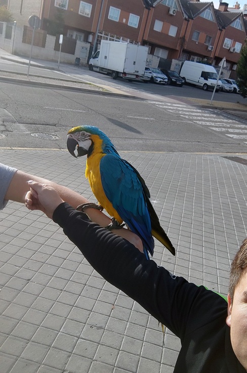 [Img #34084]