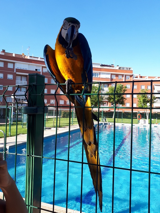 [Img #34087]