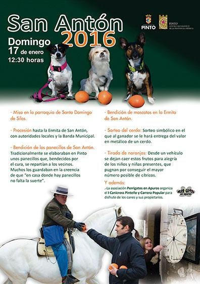 Fiesta de San Antón en Pinto.