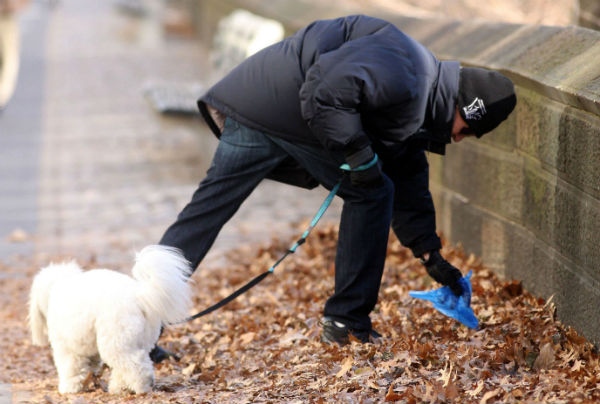 Hombre recoge los excrementos de su mascota.