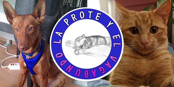 La Prote y el Vagabundo