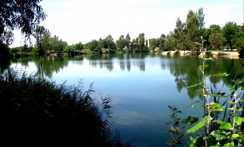Parque Tierno Galván de San Martín de la Vega.