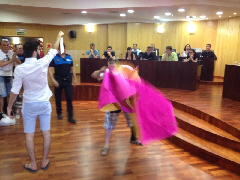 Pleno extraordinario de julio de 2015.