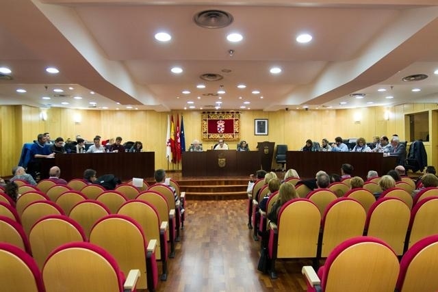 Pleno de Pinto | Archivo.