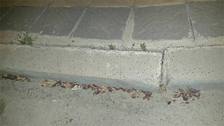 Imagen denuncia de Jesús Patón.