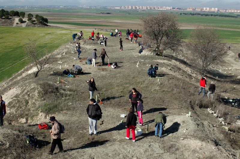 Repoblación de Ecologistas en acción de Pinto