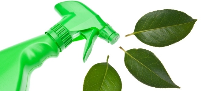 Los productos de limpieza ecológicos, cada vez más demandados.