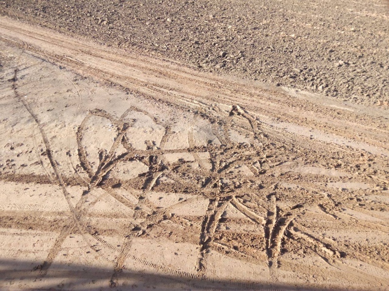 Denuncian el estado del camino entre Pinto y Valdemoro.