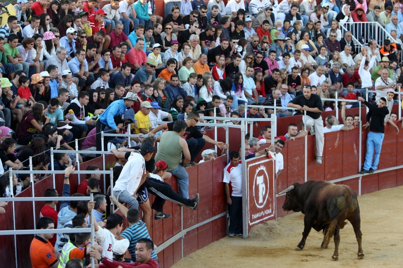 Ganemos Pinto sólo subvencionará los festejos taurinos si se celebra una consulta popular.