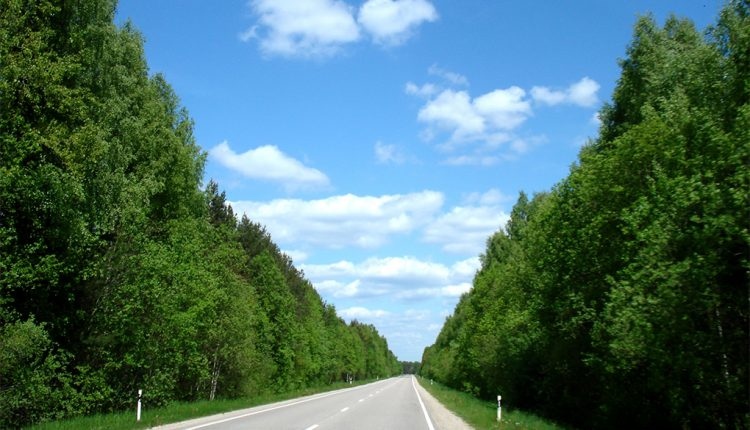 Pinto se une a la red del foro de Civitas.