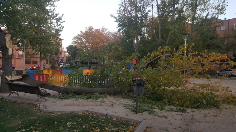 Intervenida quirúrgicamente una mujer en Pinto tras caerle una rama de grandes dimensiones en la cabeza.