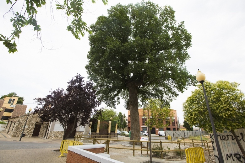 Comienza la construcción del nuevo aparcamiento de la calle Fuentevieja.