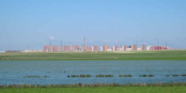 humedal pinto
