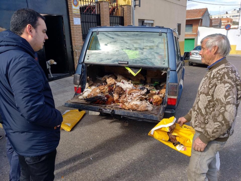 Matan a golpes todas las gallinas de un vecino de Ciempozuelos