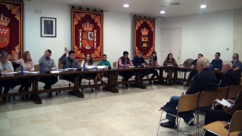 Pleno de San Martín de la Vega.