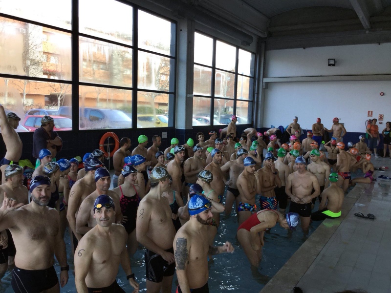 II PintoSwim.