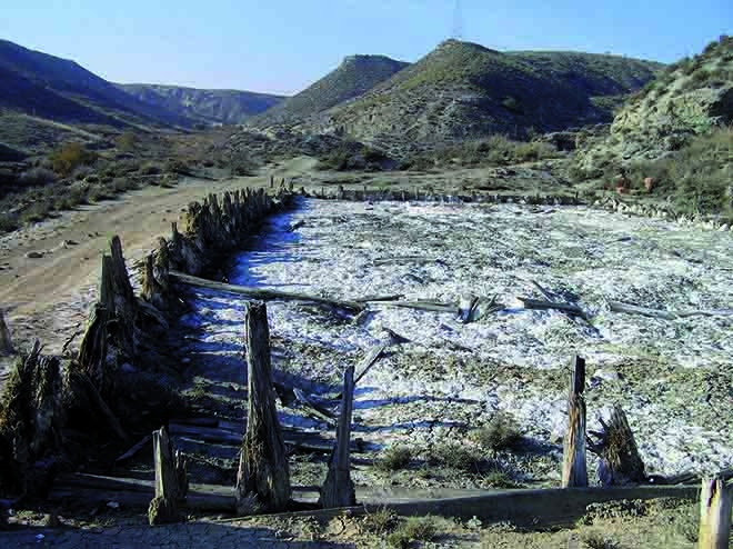salinas espartina