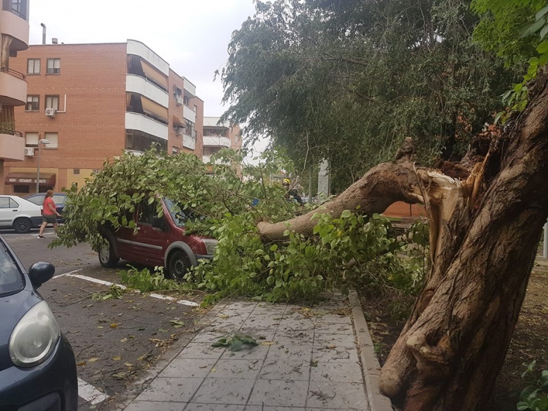 Imagen de la Policía Local de Pinto.