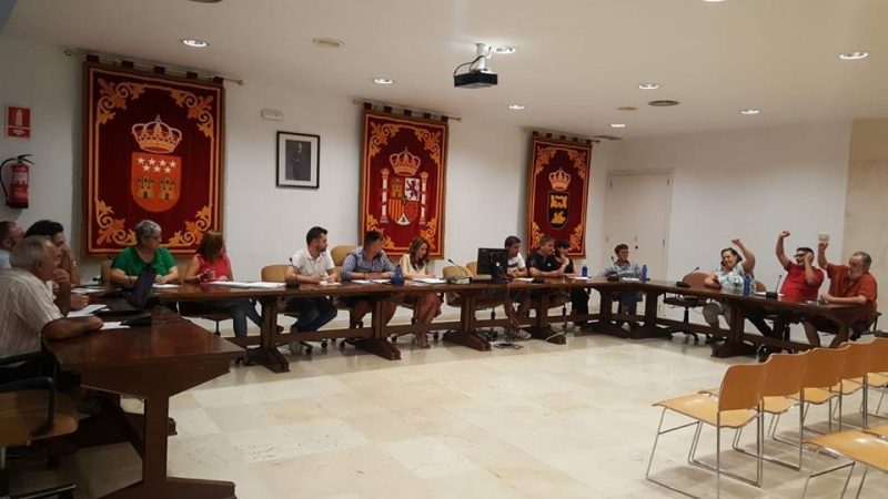 Pleno de San Martín de la Vega.
