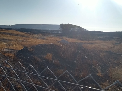 Lodos secándose al aire libre en la planta de compostaje de biosólidos ‘La Torrecilla’ | Asociación Vecinal PAU del Ensanche de Vallecas.