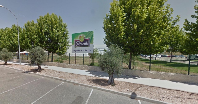 Planta de Florette de Noblejas (encastillalamancha.es).
