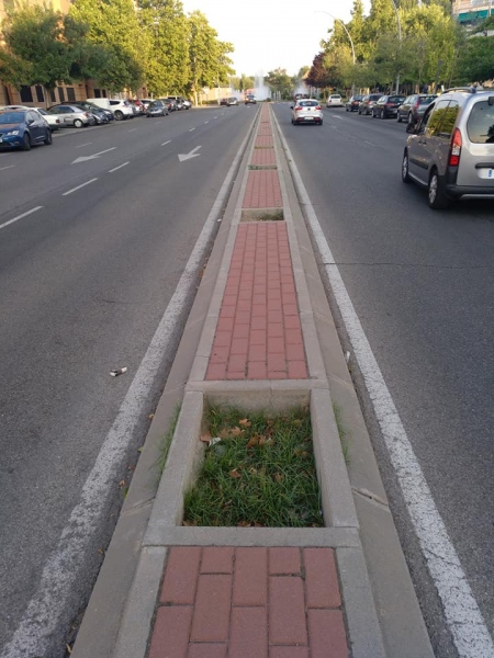 El Ayuntamiento repondrá los árboles de la calle Cataluña y el talud del parque Norte.