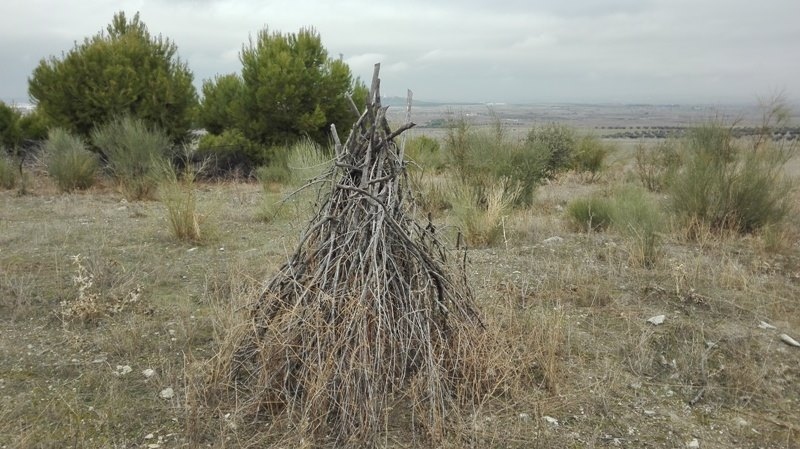 Supuesto puesto de caza situado en terrenos del Ayuntamiento de Pinto.