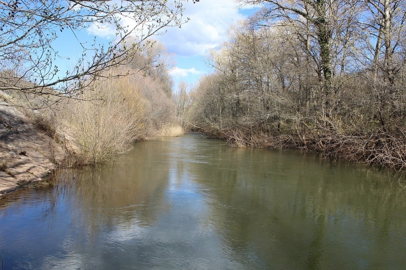 Río Jarama.