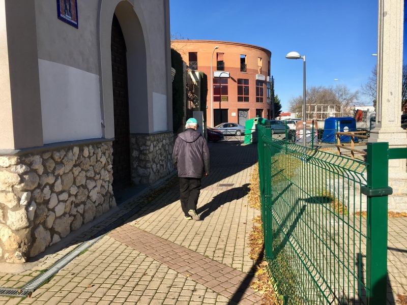 Nuevo vallado del olmo tricentenario de Pinto.