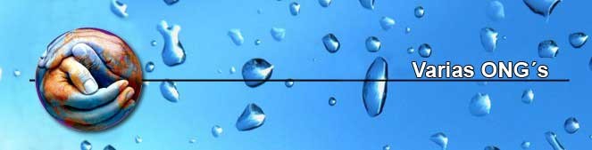 Varias ONG´s